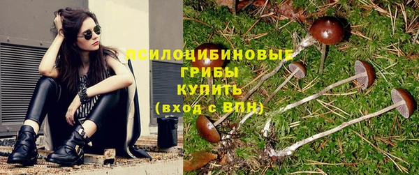 стафф Кулебаки