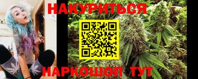 скорость Гатчина