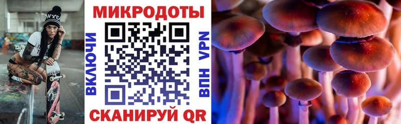 Галлюциногенные грибы MAGIC MUSHROOMS  кракен сайт  Мирный 